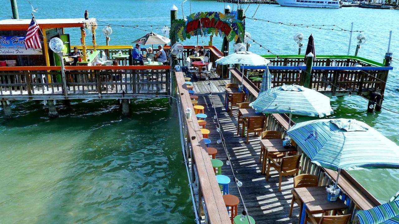 C7-Dolphin Villa St. Pete Beach Kültér fotó