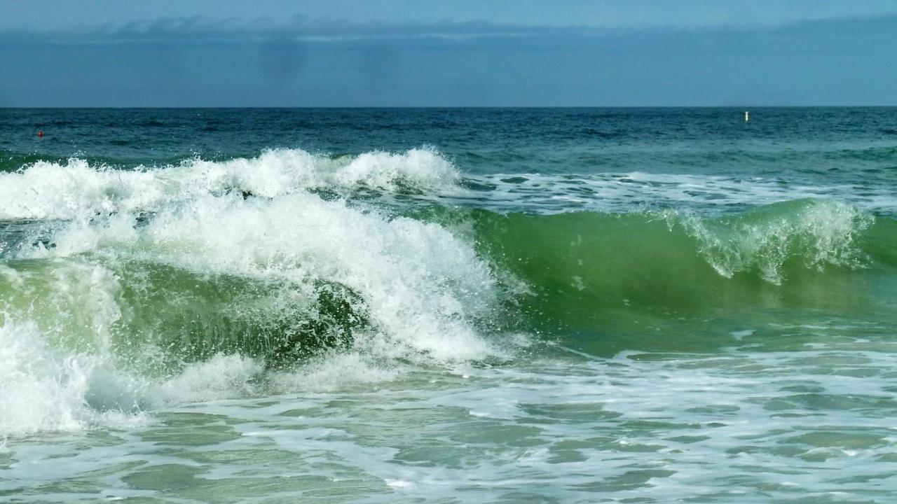 C7-Dolphin Villa St. Pete Beach Kültér fotó